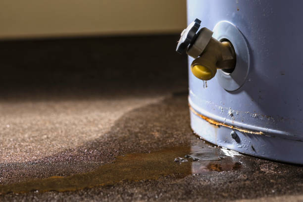 Best Water damage cleanup near me  in Bement, IL
