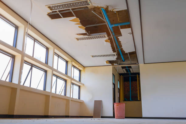 Best Water damage restoration process  in Bement, IL