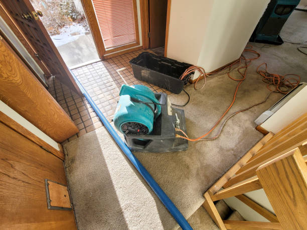 Best Water damage restoration mold remediation  in Bement, IL