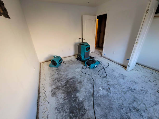Best Water damage restoration near me  in Bement, IL