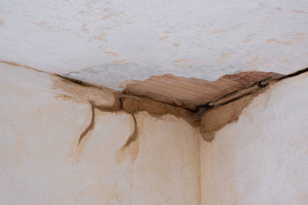 Best Water damage restoration insurance claims  in Bement, IL