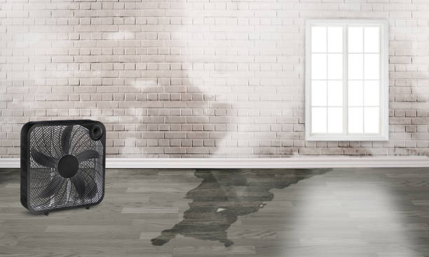 Water damage restoration insurance claims in Bement, IL