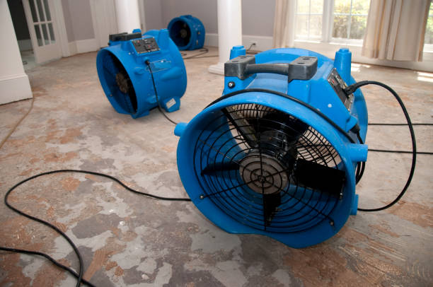 Best Water damage mitigation services  in Bement, IL