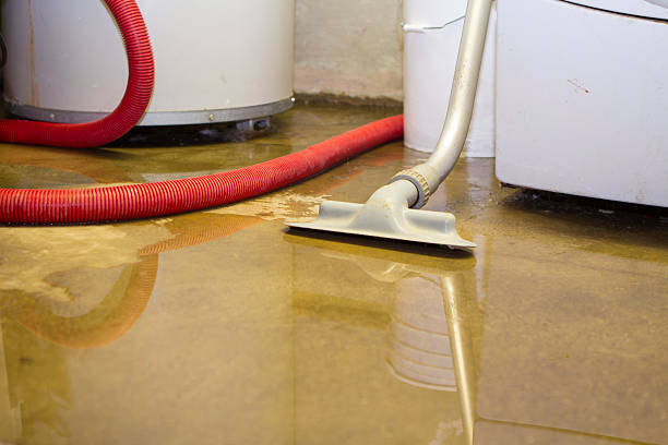 Best Flood damage cleanup  in Bement, IL