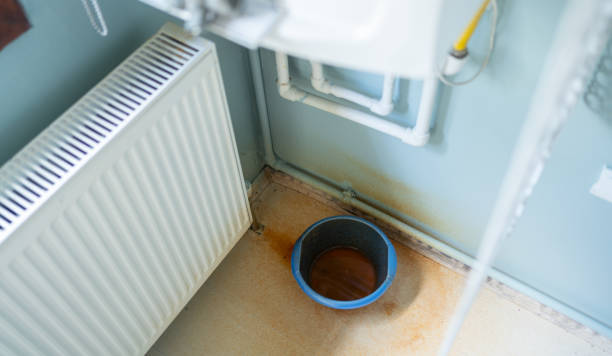 Best 24-hour water damage restoration  in Bement, IL