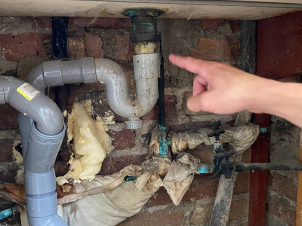 Best Sewage cleanup and water damage restoration  in Bement, IL