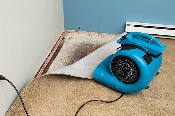 Water damage restoration insurance claims in Bement, IL